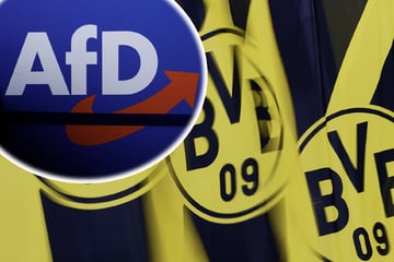 Wegen Sticker: Borussia Dortmund geht gegen AfD-Wahlwerbung vor