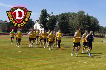 Dynamo-Dresden-Blog: Fünf SGD-Profis fehlen beim Trainingsauftakt!