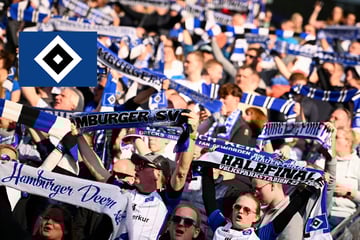 HSV-Blog: Freibier für die Fans, Millionen für den HSV