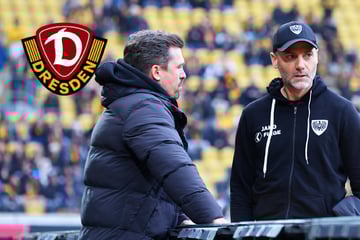 Knackt Dynamo-Coach Stamm das Ende-System nach 40 Tagen ein zweites Mal?