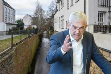 Chemnitz: Zauberwort "Schwammstadt": So will Chemnitz das Wasser halten