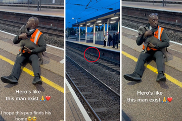 "Ein echter Held!" Bahnmitarbeiter rettet Hund vor einfahrendem Zug