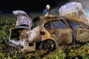 Auto überschlägt sich und fängt Feuer: Zwei Menschen schwer verletzt
