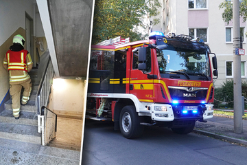 Dresden: Brand in Keller: Feuerwehr in Leubener Mehrfamilien-Haus im Einsatz