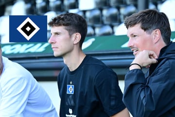 HSV beweist Vertrauen in den eigenen Plan: Co-Trainer Favé bekommt Sonderlob
