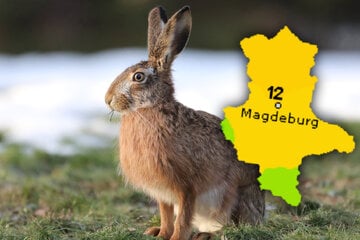 Erst pfui, dann hui: Nach Regen und Schnee kommt in Sachsen-Anhalt der Umschwung