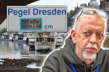 Dresden: Elbe macht sich langsam dünne: Weiße Flotte sagt am Dienstag alle Fahrten ab