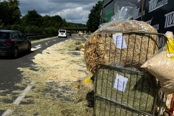 Unfall A39: Stroh und Tierstreu auf der Autobahn! Was ist denn da passiert?