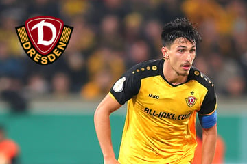 Dynamo-Dresden-Blog: Kammerknecht ist wieder international unterwegs!