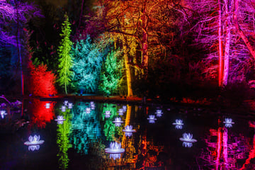 Dresden: "Christmas Garden" leuchtet Pillnitz ein