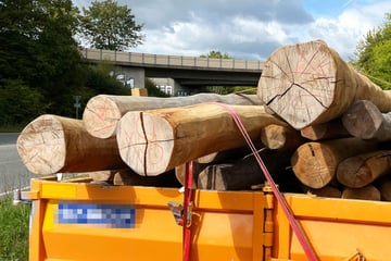 Final-Destination-Vibes auf Autobahn: Polizeistreife greift ein und stoppt Lkw
