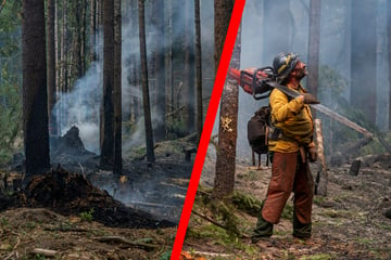 Riesiger Waldbrand bedroht Hunderte Wohnhäuser