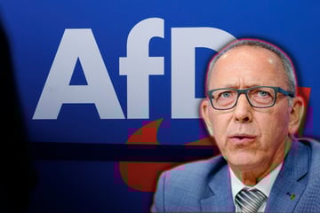 AfD ermahnt Regierung wegen rechtsextremer Einstufung - Innenministerium reagiert gelassen