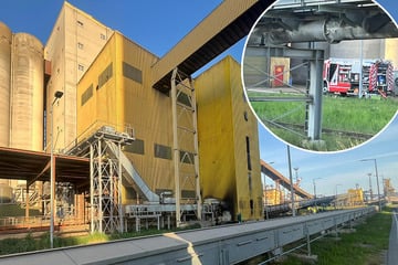 Nächtlicher Großbrand in Rostock: Feuerwehr verhindert Schlimmeres