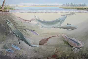 When did ancient vertebrates leave the oceans for dry land? New evidence tweaks the timeline!