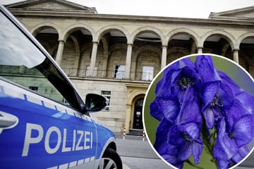 Mordkomplott mit Bohnen und Speck: Frauen wegen Serie von Giftanschlägen vor Gericht