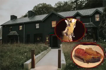 Entsetzen in Sterneküche: Dreckige Messer, tote Fliegen und schädliches Fleisch