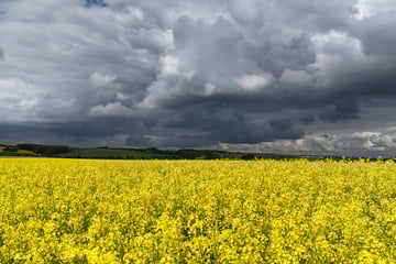 Dramatischer Wetterumschwung in Sachsen: Heute wird's ungemütlich!