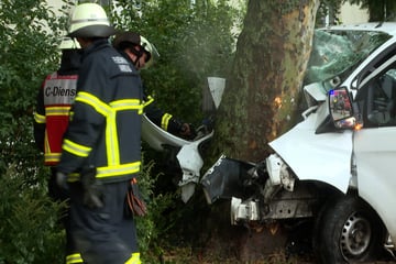 Transporter kracht gegen Baum: Fahrer schwer verletzt