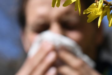Immerhin: Sachsens Allergiker können dank Regenwetter durchschnaufen