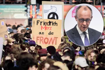 Ist das wirklich Verleumdung? Schüler fliegt Anti-Merz-Plakat um die Ohren