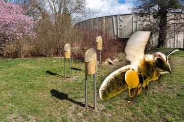 Wildbienen im Zoo Dresden: Diese Nistkästen sind ein Kunstwerk