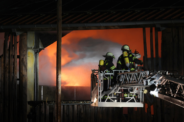 Flammen-Inferno bei Recycling-Unternehmen verursacht Millionen-Schaden!