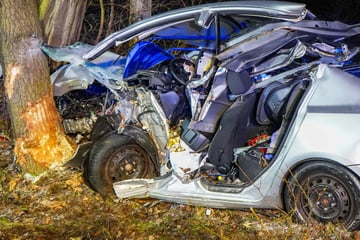 Mazda kracht in Baumgruppe: 32-Jähriger kommt bei Horror-Unfall ums Leben