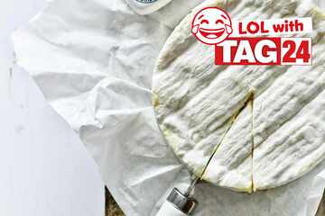 Joke of the Day for November 25, 2025: A cheesy funny