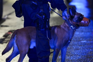 Polizei schnappt mutmaßliche Waffenhändler: Der Jüngste ist erst 17!
