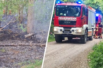 Leipzig: Radfahrerin alarmierte Feuerwehr: 600 Quadratmeter Wald bei Roßlau in Flammen
