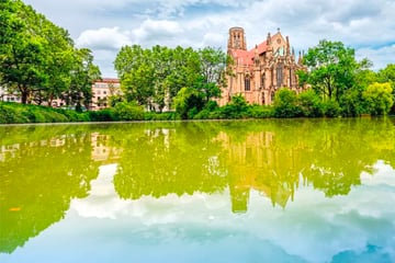 Stuttgart: Hitzestress in Stuttgarter Seen: Warum das Wasser für Hunde zur Gefahr wird