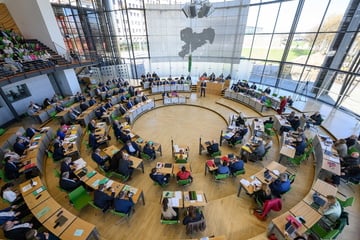 Koalition gibt bei Diäten klein bei