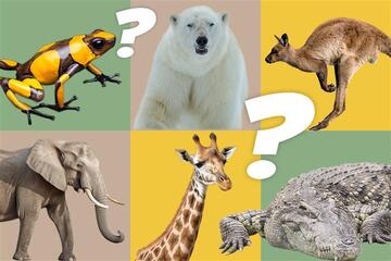 Das große Tier Quiz: Eine Frage beantworten fast alle falsch!