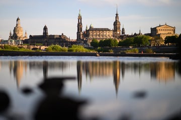 Dresden: Langes Wochenende in Dresden: Bleibt es trocken?