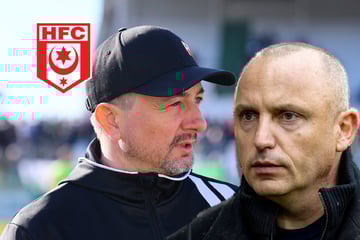 Grabenkämpfe beim HFC gehen weiter: Nächster leitender Mitarbeiter weg