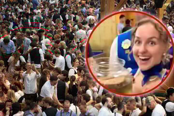 Wiesn-Bedienung entdeckt bizarres Diebesgut: "Da denkt man, man hat schon alles gesehen ... "