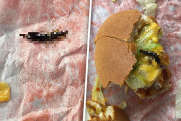 Igitt: Frau isst ihren Burger halb auf, dann macht sie eine ekelhafte Entdeckung
