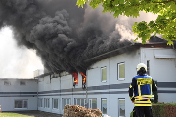 200 Feuerwehrleute im Einsatz: Millionenschaden nach Feuer auf Betriebsgelände