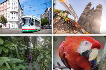 Noch keinen Plan für Euren Samstag? Das hat Magdeburg zu bieten