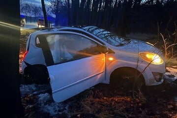 Fahrt endet an Baum: Zwei Verletzte bei Unfall in Möckern