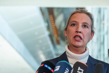 Kein einziger Ausschuss für AfD: Weidel spricht von "Akt der Diskriminierung"