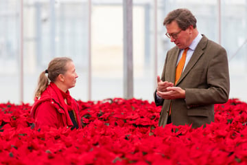Minister-Besuch wird zur Weihnachtsstern-Stunde