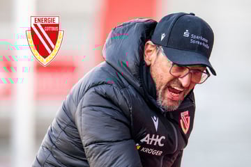 Wettbewerbs-Verzerrung in Hoffenheim? Wollitz schon vor Cottbus-Spiel genervt