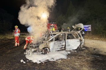 Feuer mitten in der Nacht: Auto brennt in Waldeinfahrt, Kripo ermittelt