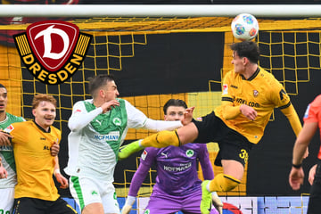 Vorn ein Tor, hinten die Null: Was für Dynamos Keller aber wirklich zählt