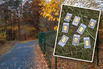 Im Wert von 30.000 Euro: Sachse findet Goldbarren beim Rasenmähen