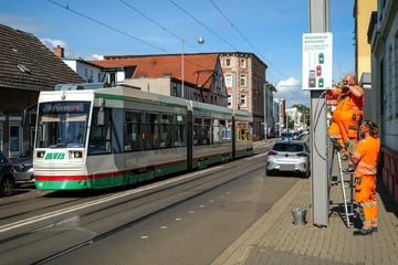 Falschparker sorgen in Cracau für Ärger: So wollen die MVB das Problem lösen