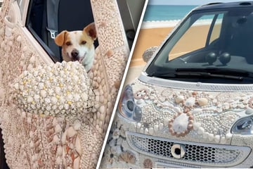 Frau setzt Kunstprojekt an Auto um: Das Ergebnis sorgt für fassungslose Gesichter