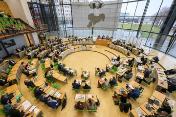 AfD-Mann unter Protest in Kontrollgremium gewählt: "Zugang zu hochsensiblen Informationen"